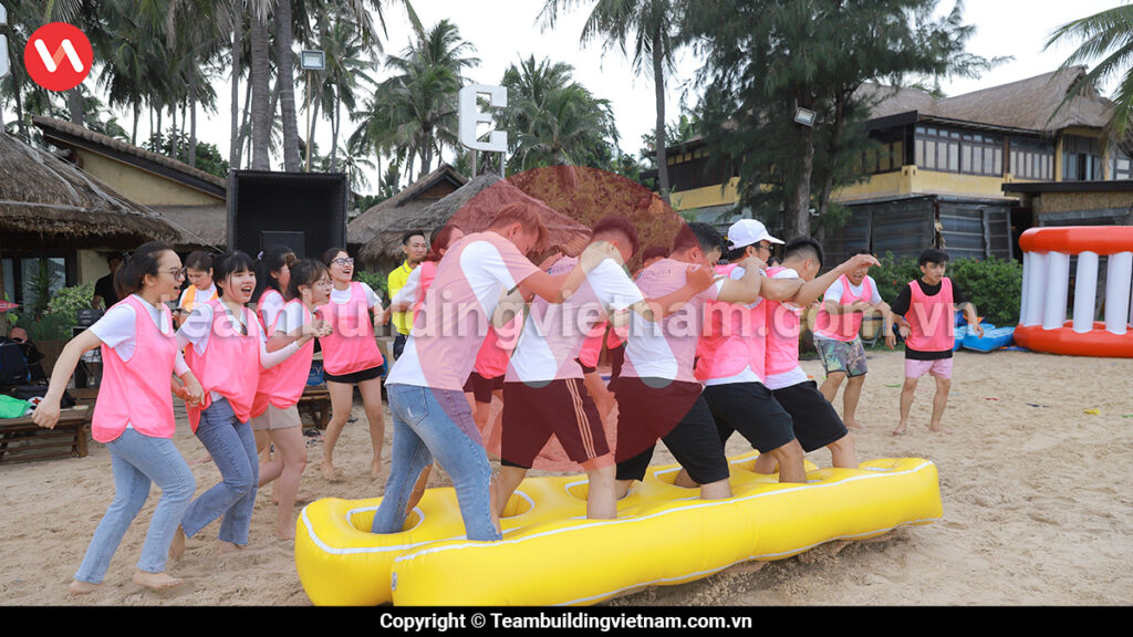 Tổ Chức Team Building, Dịch Vụ Team Building, Team Building Vietnam